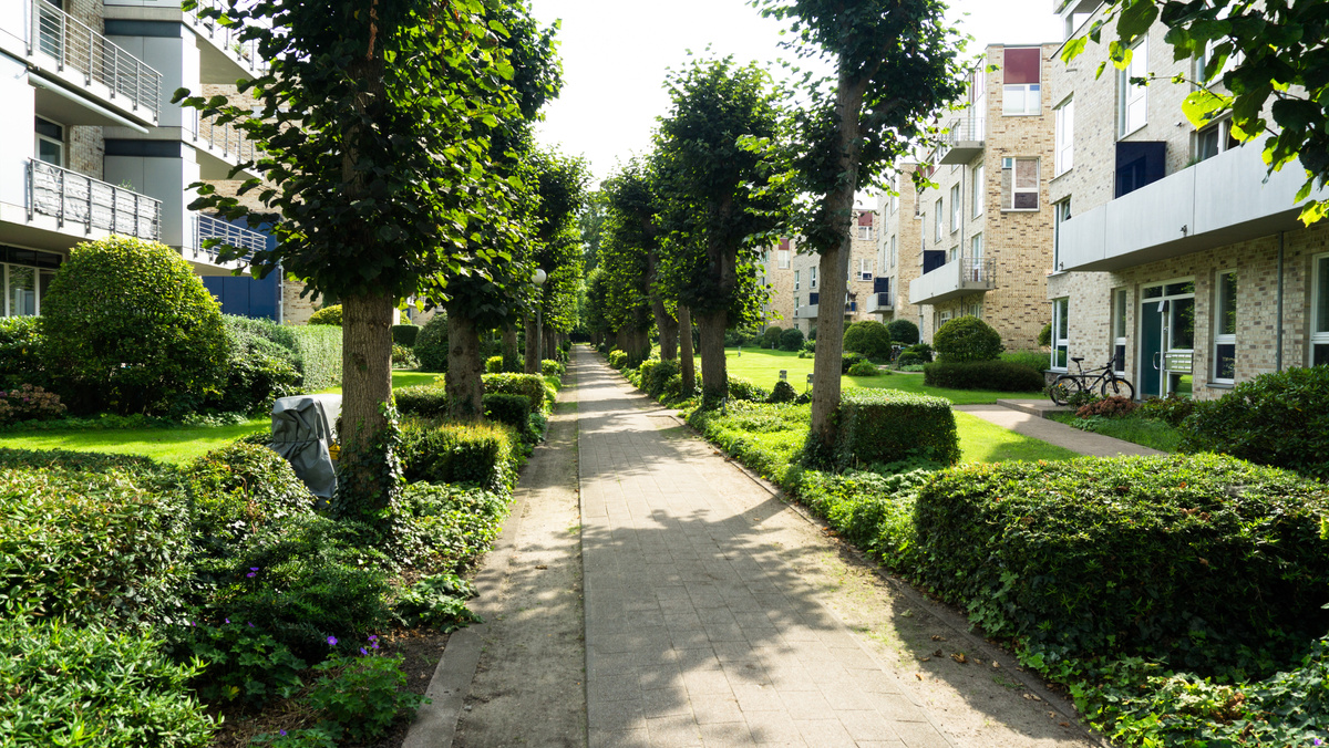 residential area real estate